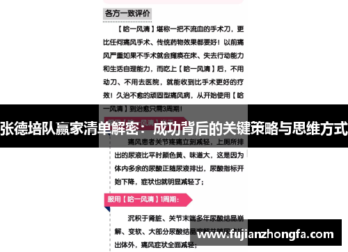 张德培队赢家清单解密：成功背后的关键策略与思维方式