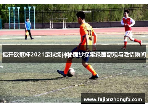 揭开欧冠杯2021足球场神秘面纱探索绿茵奇观与激情瞬间